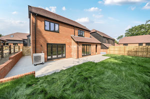 Photo 2- click for photo gallery